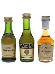 Bisquit, Camus & Hennessy  3 x 3cl-5cl / 40%