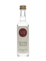 Torino Distillati Seven Hills Gin  5cl / 43%