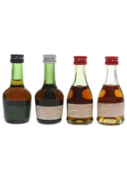 Bisquit 3 Star, Napoleon & VSOP Bottled 1960s-1970s - Ferraretto 4 x 3cl / 40%