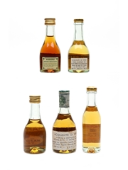 Bardinet, Brunel, Chantour Pere, De Perrier & Marnay Brandy Bottled 1960s & 1970s 5 x 3cl-4cl / 40%