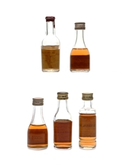 Antoniazzi, Asolo, Costagliola & Stock Brandy Bottled 1960s-1970s 5 x 2.5cl-3.5cl