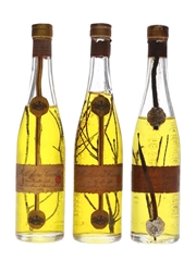 Millefiori Cucchi Liqueur Bottled 1960s 3 x 4cl / 45%