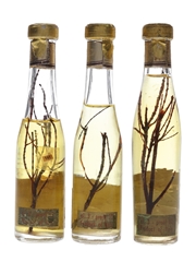Roberto Moroni Edelweis Liqueur Bottled 1960s 3 x 3cl / 35%
