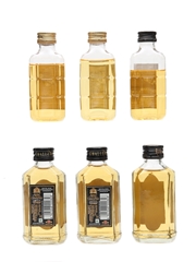 Assorted Blended Indian Whisky  6 x 6cl