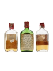 Assorted Blended Scotch Whisky  3 x 4cl