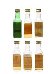 Assorted Blended Scotch Whisky Ben Nevis, Ben Roland, Brahms & Liszt, Celtic, Scotch On The Rock & Tax Collector 6 x 5cl / 40%