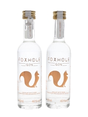 Foxhole Gin  2 x 50cl / 40%
