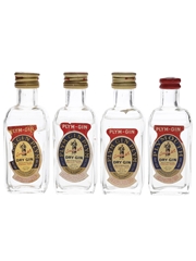 Coates & Co. Plym Gin Bottled 1960s-1970s - Stock 4 x 3cl / 46%