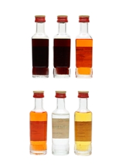 Saba Liqueurs Cherry Brandy, Fernet Saba, Mandarino, Orange Brandy, Sambuca 6 x 3cl-3.5cl