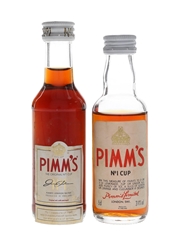 Pimm's No.1 Cup  2 x 5cl