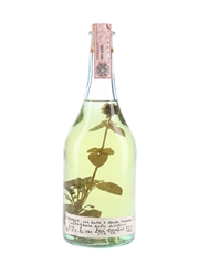 Romano Levi 1988 Grappa Con Ruta E Menta