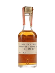 Wild Turkey 8 Year Old 101 Proof Bottled 1970s - Orlandi 4.5cl / 50.5%