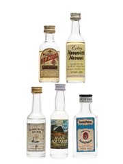 Assorted Aquavit