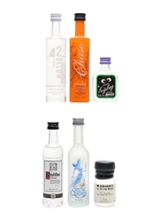 Assorted Vodka Chase, Ketel One, Snow Queen, 42 Below, St George, Kleiner Feigling 6 x 2-5cl