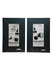 Black & White 1955 Posters Memorabilia 