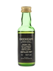 Pittyvaich-Glenlivet 1977 Bottled 1980s - Cadenhead's 5cl / 56.6%