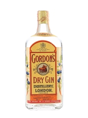 Gordon's Dry Gin Spring Cap