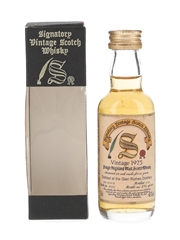 Glen Rothes 1975 16 Year Old