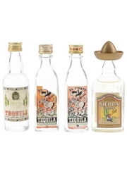 Assorted Tequila From Mexico & Spain