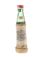 Luxardo Maraschino Liqueur