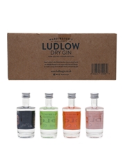 Ludlow Dry Gin Tasting Pack Shropshire Hills Distillery 4 x 5cl / 42%