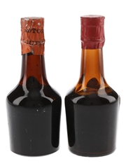 Trotosky Apricot & Cherry Brandy Bottled 1960s 2 x 5cl