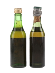 Martini Bianco & Dry Bottled 1950s & 1970s 2 x 5cl / 17%