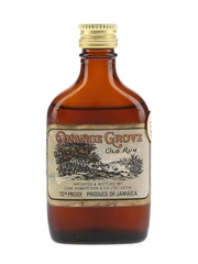 Orange Grove Old Rum Bottled 1970s - Low Robertson & Co. 5cl / 40%