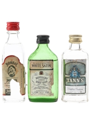 Bombay, White Satin & Tann's Gin  3 x 5cl / 40%