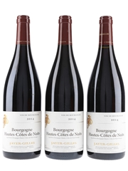 Bourgogne Hautes Cotes De Nuits 2014 Jayer Gilles 3 x 75cl / 13%