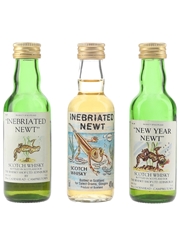Inebriated & New Year Newt  3 x 5cl