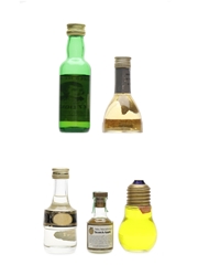 Assorted Liqueur Burns Nectar, Garnier, Marie Brizard, Montserrat & Mrs McGillvray's Scotch apple 5 x 1cl-5cl