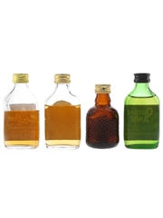 Assorted Blended Whisky Grand Old Parr, John Begg, Long John & Queen Anne 4 x 5cl