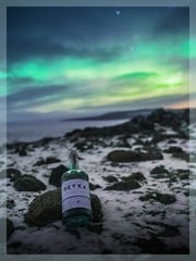 A Weekend in Iceland, the Home of Reyka Vodka Hosted by Reyka Brand Ambassador Fabiano Latham 