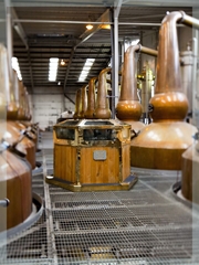 Ailsa Bay Distillery Trip