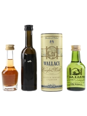 Assorted Scotch Whisky Liqueurs Brammle, Hebridean, Wallace 3 x 2cl-5cl