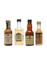 Assorted Canadian Whisky  4 x 5cl