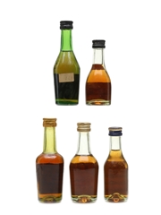 Assorted Cognac Hine, Hennessy, Martell, Camus & Delamain 5 x 5cl