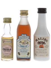 Faustino, Malibu & JW Dainton's Liqueurs