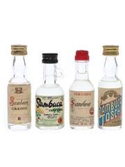 Casoni, Enrico Toro, Morandini, Toschi Sambuca  4 x 2.3cl-3cl