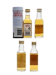 Assorted Blended Whisky Famous Grouse, Haig, Inebriated Newt & John Barr 4 x 5cl / 40%