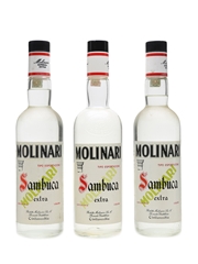 Molinari Sambuca