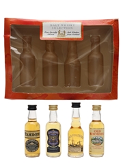 Malt Whisky Selection Tamdhu, Loch Lomond, Old Pultney, Old Rhosdhu 4 x 5cl / 40%