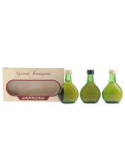 Janneau Grand Armagnac  3 x 3cl / 40%