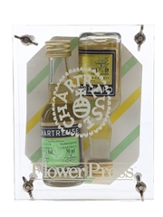 Chartreuse Flower Press Set