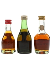 Bisquit, Hine & Otard Cognac Bottled 1970s 3 x 5cl / 40%