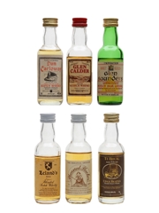 Assorted Blended Scotch Whisky Dun Carloway, Glen Calder, Glen Saunders, Leland's, Pheasant Plucker, Te Bheag 6 x 5cl / 40%