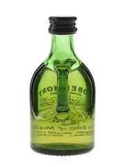 Tobermory Bottled 1980s-1990s 5cl / 40%