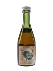 Remy Martin VSOP Bottled 1950s-1960s 3cl / 40%