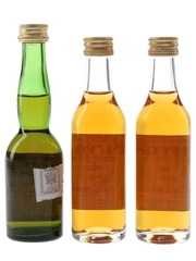 De Luze & Tiffon Cognac  3 x 4.5cl-5cl / 40%